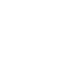 tick
